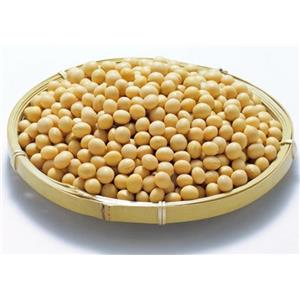 Soybean extract; Phosphatidylserine