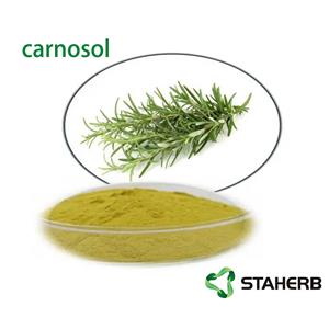 CARNOSOL