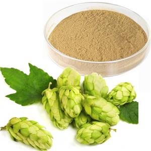 Xanthohumol Hops Extract