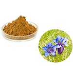 Gentiopicroside; Gentiana scabra Bunge extract pictures
