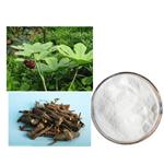 Podophyllotoxin pictures