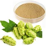6754-58-1 Xanthohumol Hops Extract 
