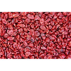 Cranberry extract
