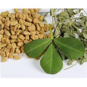 FEMA 2484; Fenugreek Oil