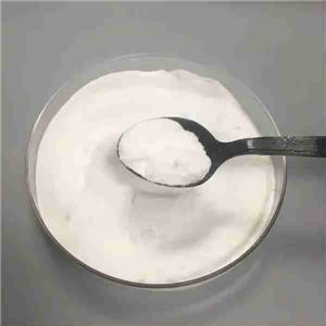 Procainamide Hydrochloride