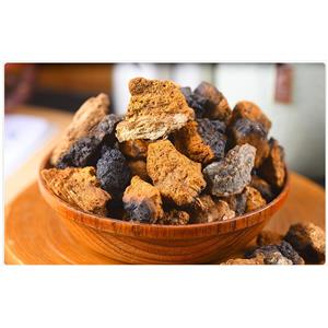Chaga Powder