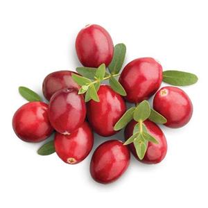 Cranberry extract