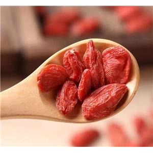 Barbury Wolfberry fruit P.E.