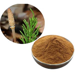 Horsetail Extract