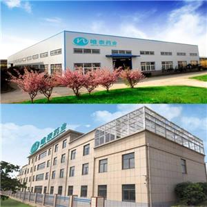 2'-Deoxyadenosine（2'-dA）