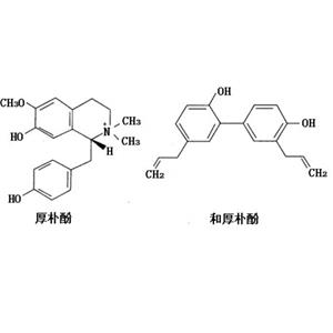 Magnolia officinalis P.E.