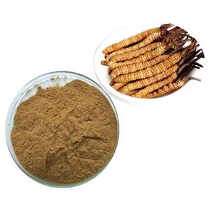 Cordycepin powder