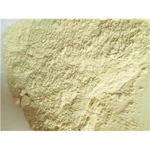 4-Amino-3,5-dichloroacetophenone