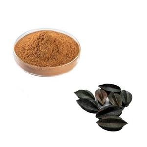 Rangooncreeper Fruit Extract