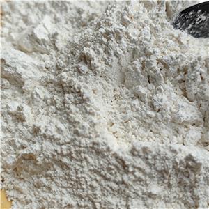 RAC-2-(DI-T-BUTYLPHOSPHINO)-1,1'-BINAPHTHYL