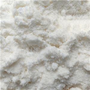 4,5-Dichloro-2-octyl-isothiazolone