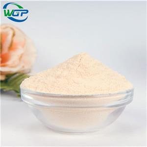 2-Aminomethyl-7-chloro-2,3-dihydro-5-(2-fluorophenyl)-1H-1,4-benzodiazepine Dimaleate