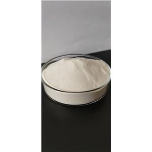 Collagen (cattle skin)