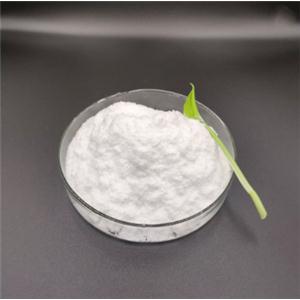 isocyanatomethyl-dimethoxy-methylsilane