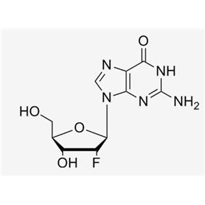 2'-F-2'-deoxyguanosine；2‘-F-dG