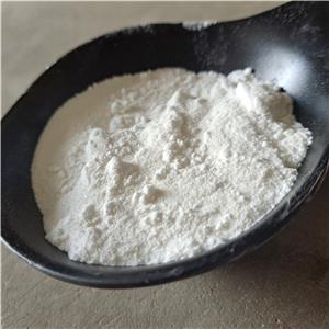 3-chloro-N-methylpropanamide