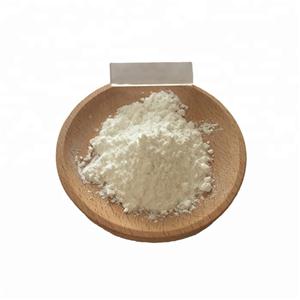 Polyvinylpyrrolidone