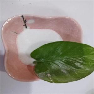 Lidocaine hydrochloride