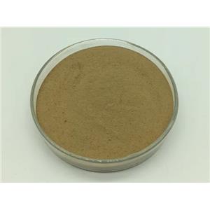 Ferrous Bisglycinate