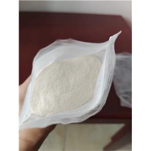 2-methyl-5-[(2S)-1-methylpyrrolidin-2-yl]pyridine