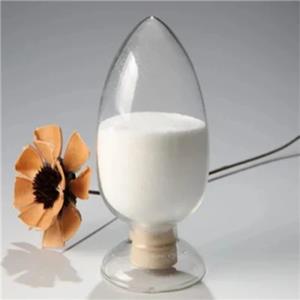 (2R,4S)-5-([1,1'-biphenyl]-4-yl)-4-((tert-butoxycarbonyl)aMino)-2-Methylpentanoic acid