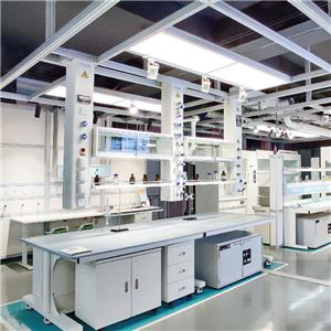 Clenbuterol EP Impurity E