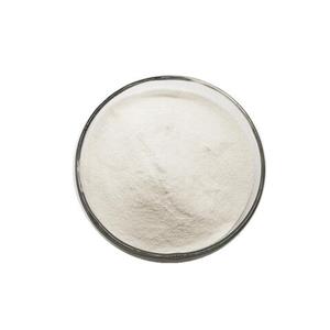 PRASUGREL HYDROCHLORIDE