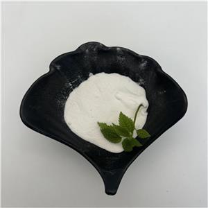 N-[(S)-(4-nitrophenoxy)phenoxyphosphinyl]-L-Alanine 2-ethylbutyl ester