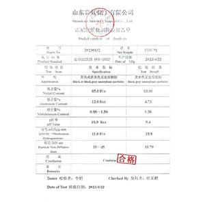 Raney (Sponge) Nickel Catalysts