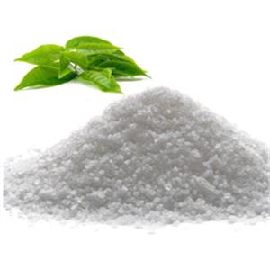 1,2,3,4,5-PENTAPHENYL-1'-(DI-TERT-BUTYLPHOSPHINO)FERROCENE