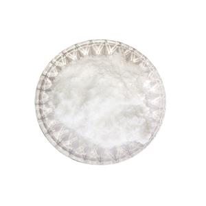 Ethyl 2-(2-aminothiazole-4-yl)-2-hydroxyiminoacetate