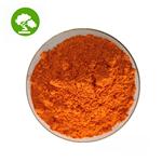 2447-54-3 Plumepoppy Extract