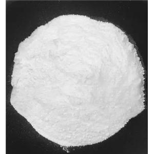 creatine monohydrate powder