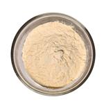 565456-77-1 Boceprevir InterMediates