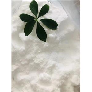 2'-amino-p-terphenyl