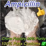 69-53-4 Ampicillin