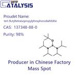 tert-ButyltetraisopropylphosphorodiaMidite pictures