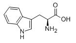 L-tryptophan Structure L-tryptophan Structure