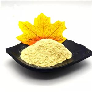 Methyl 2-aminothiazole-5-carboxylate