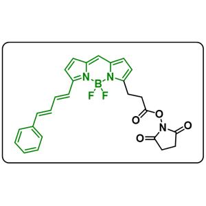 BDP 581/591 NHS ester