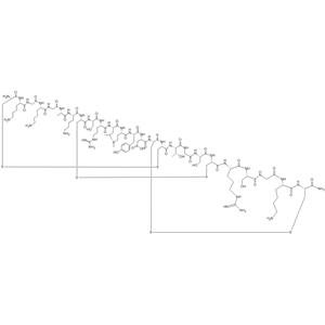 Ziconotide Polyacetate