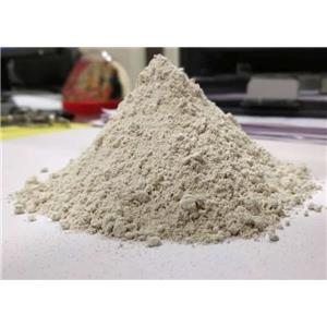 diatomite
