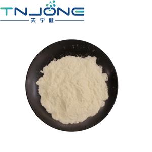 Natto Extract Nattokinase