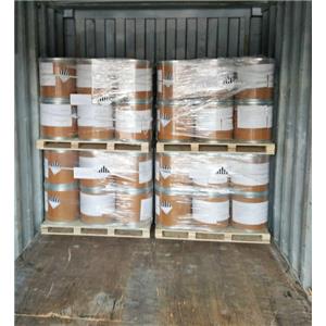 4,5-Dichloro-2-octyl-isothiazolone