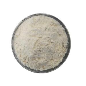 Anti-scorch agent CTP